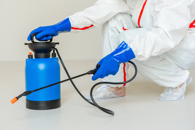 害虫・害虫駆除サービス